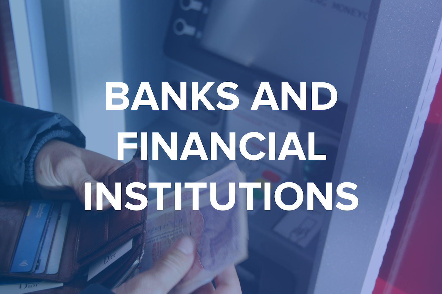 Financial Institution Clients